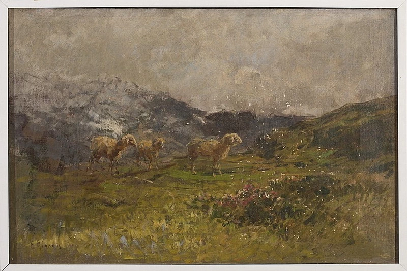 Pecore al pascolo di montagna